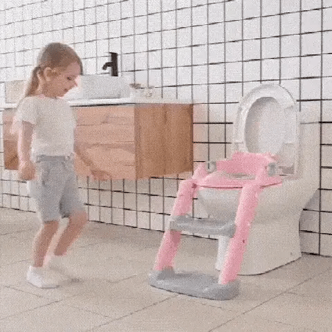 Potty Training Seat